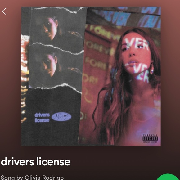 Brandy Melville Other - Anyone like this song!🤪